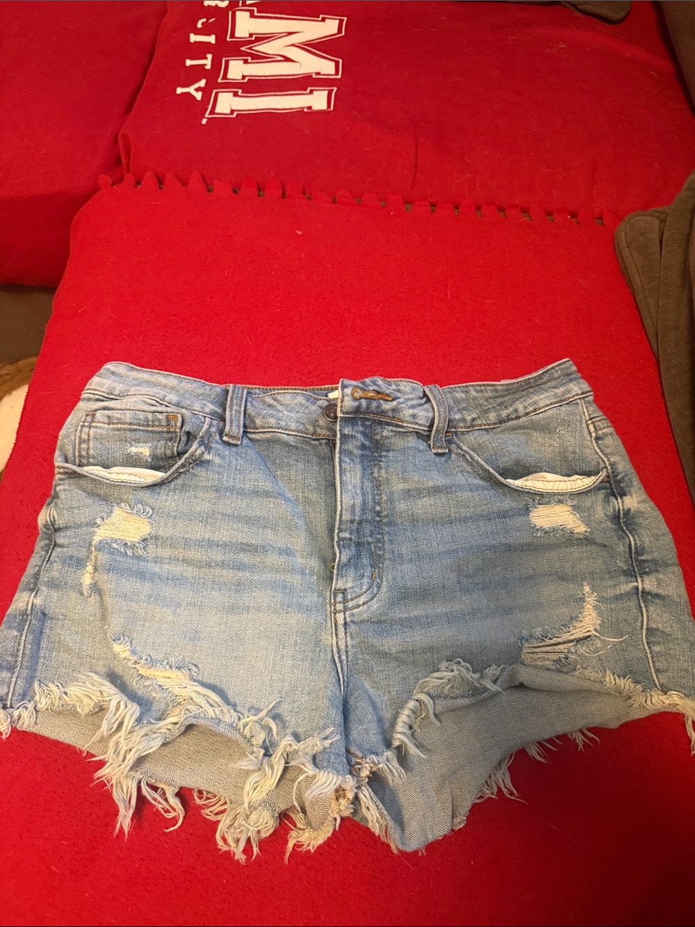 Distressed Light Blue Denim Jean Shorts - Women's Frayed Hem